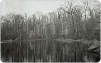 Hourglass Pond, 1946, Courtesy of Staten Island Museum