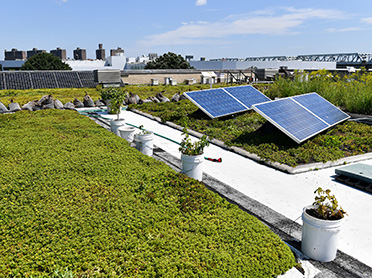 solar panels on a green roof