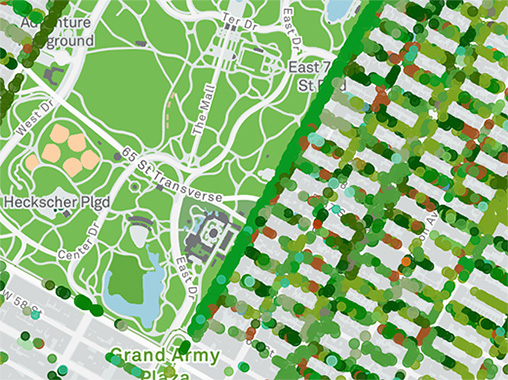 map of trees on a grid