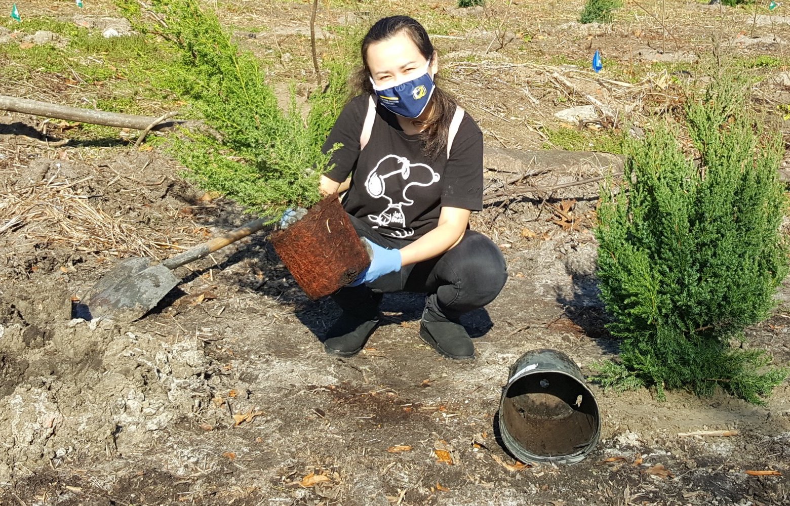 a volunteer plants a tree in the ground during a tree planting event in the park