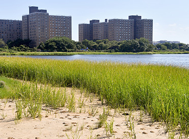 hi-rise buildings near a salt marsh