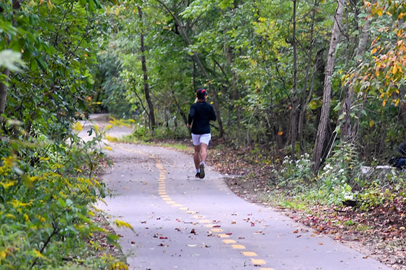 a park visitor walks on a paved trail through the woods