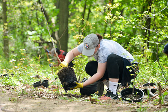 a volunteer plants young trees in the forest