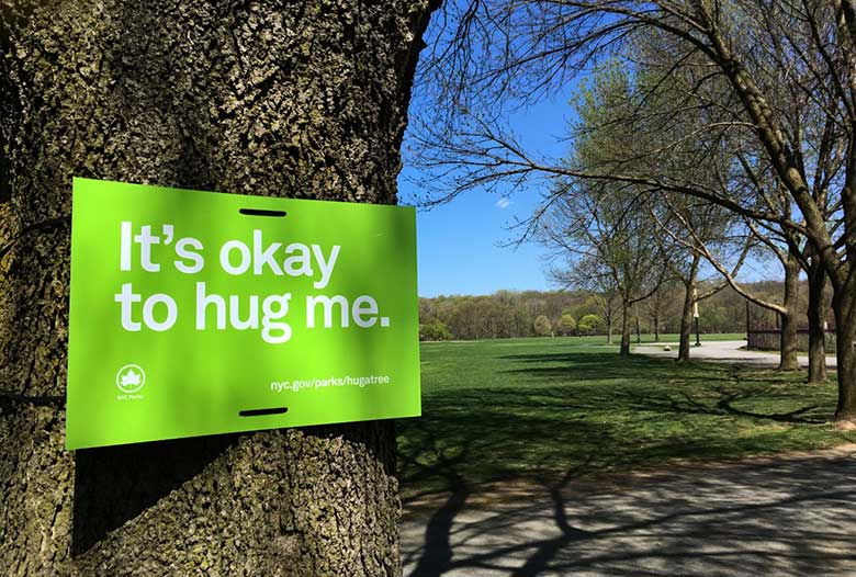Hug a Tree NYC : NYC Parks