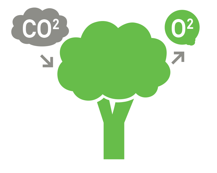 icon of a tree absorbing carbon dioxide and emitting oxygen