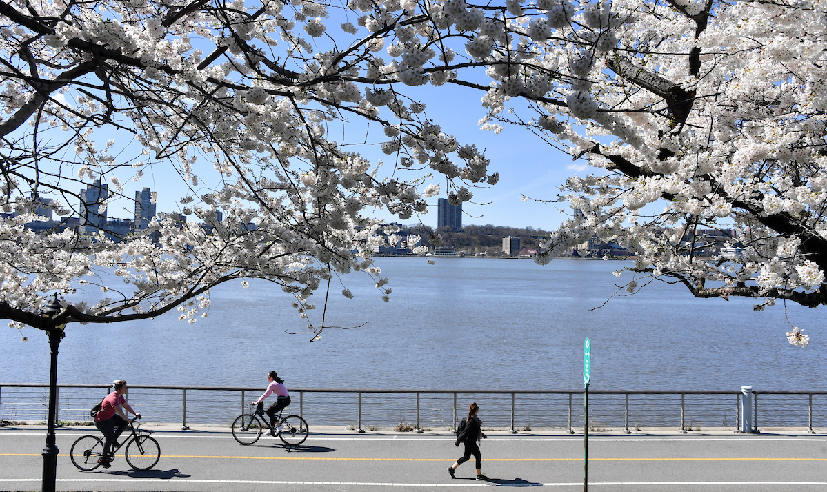 cyclists ride along the waterfront in riverside park