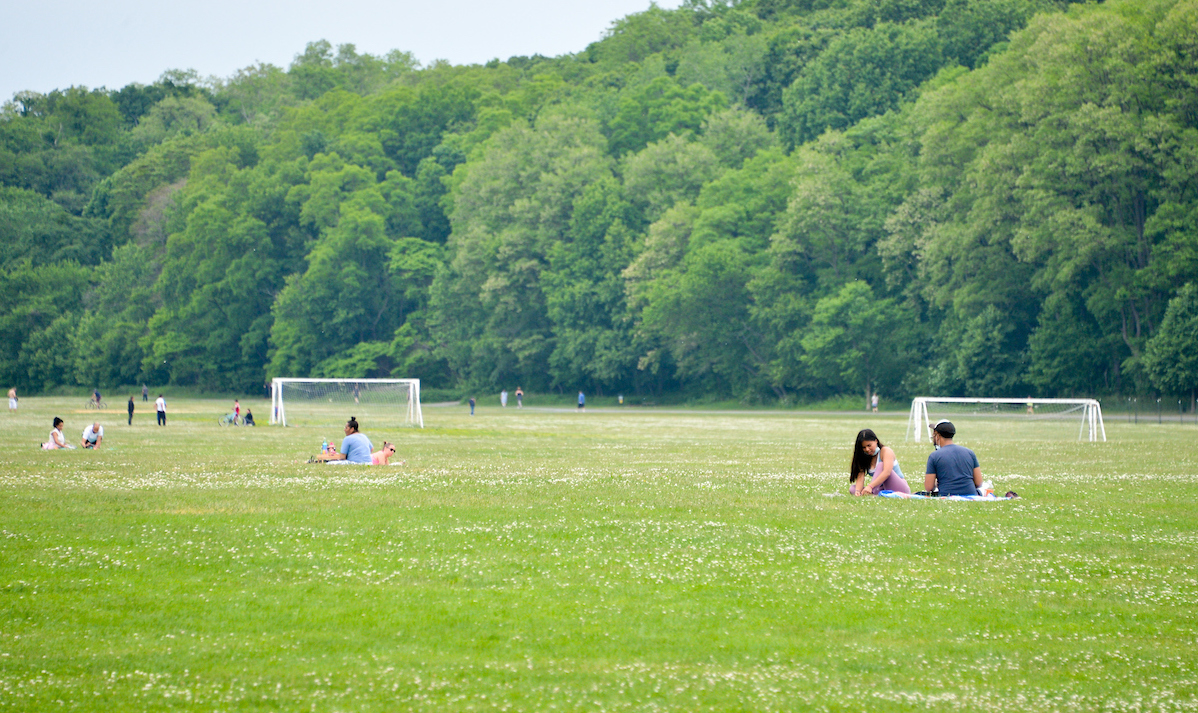 people picnic on a soccer field in the park