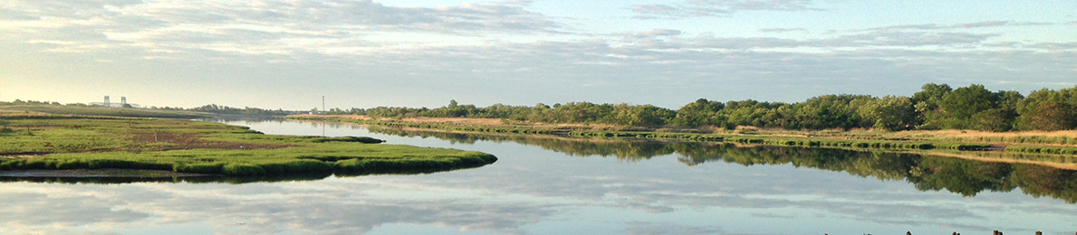 view of a salt marsh at Gerritsen Creek