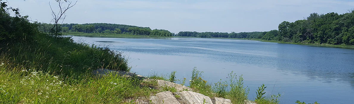 Pelham Bay Park hiking trails