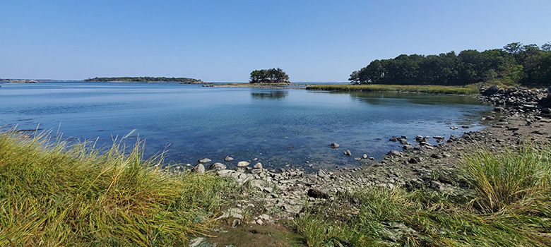 view of tiny islands of forests from the shorefront of a salt marsh