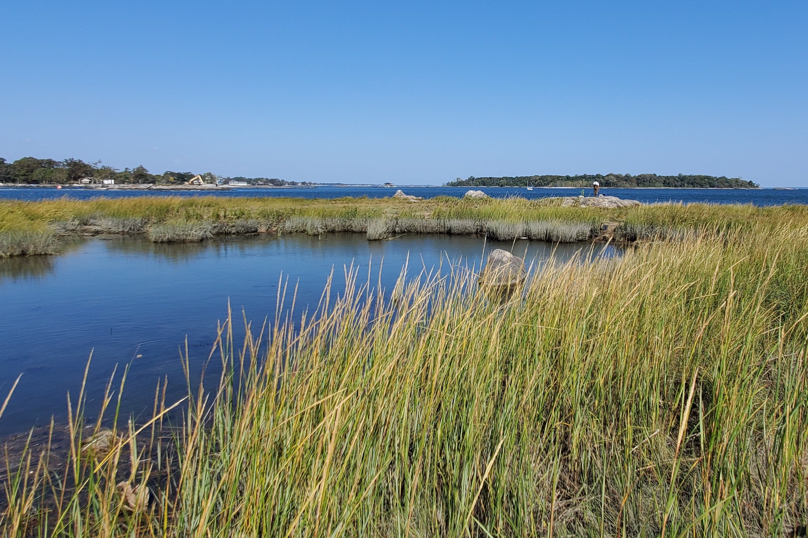 view of a salt marsh at the edge of a park