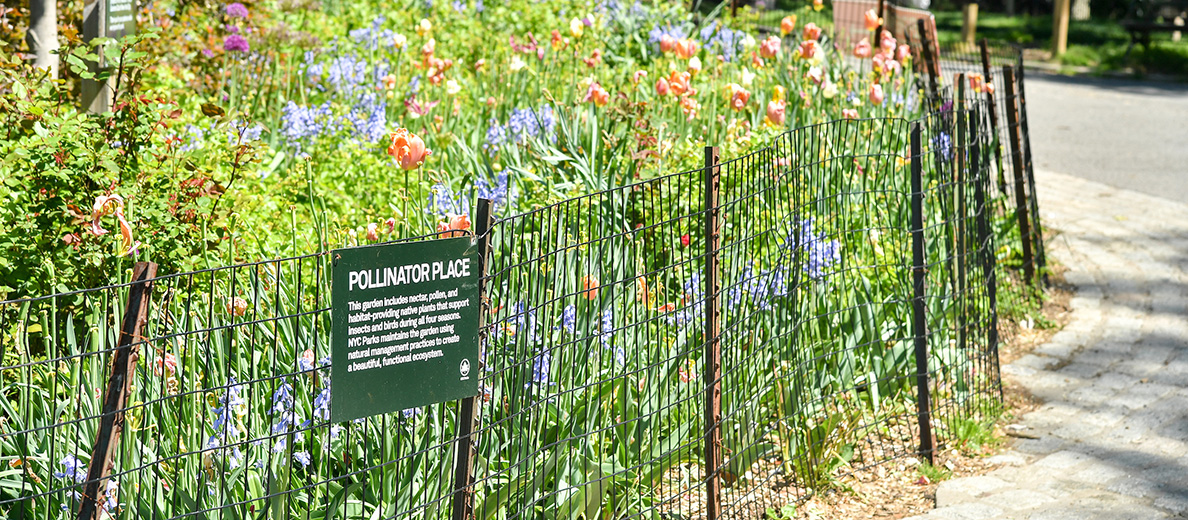 Pollinator Places