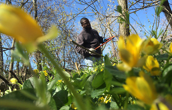 Volunteer at an NYC Parks Stewardship Event