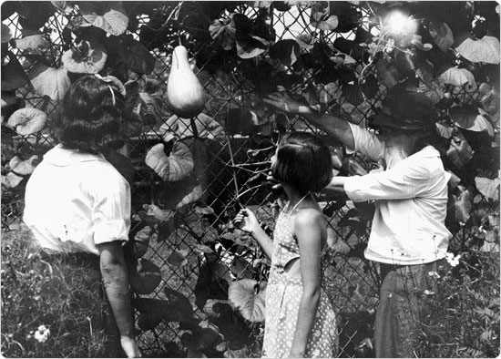 Judging the fruits of a community garden as part of the Park Farm Contest in Thomas Jefferson Park, April 4, 1939. Photo: Max Ulrich.