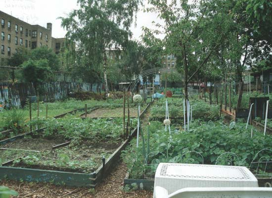 Garden of Happiness, Bronx. Photo courtesy of GreenThumb.