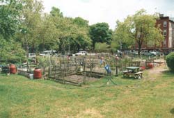 Hattie Carthan Community Garden in more recent times, after the hard work of community gardeners. Courtesy of GreenThumb.