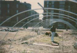 Hattie Carthan Community Garden before community gardeners had finished its transformation. Courtesy of GreenThumb.