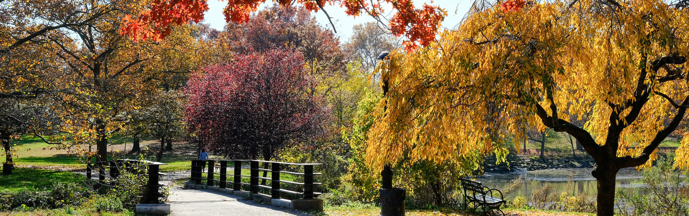 trees in red, yellow, and orange fall colors near a lake