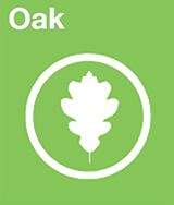 leaf shape oak symbol