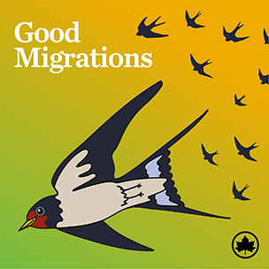 good migrations spotify playlist cover art