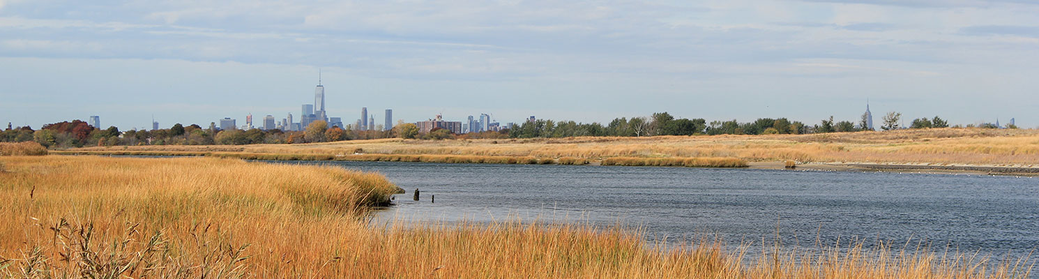 White Island is located just off the shores of Marine Park in Jamaica Bay.