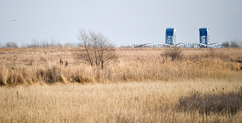 a field of grassland with a bridge in the backgound