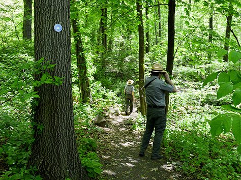 park rangers hike through the woods