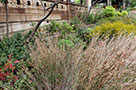 Along the border of the garden are wispy little bluestems and bright yellow goldenrods, which butterflies love.