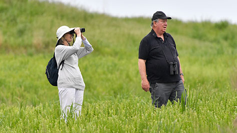 couple goes birding in the fields