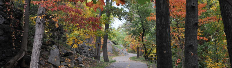 Highbridge Park hiking trails