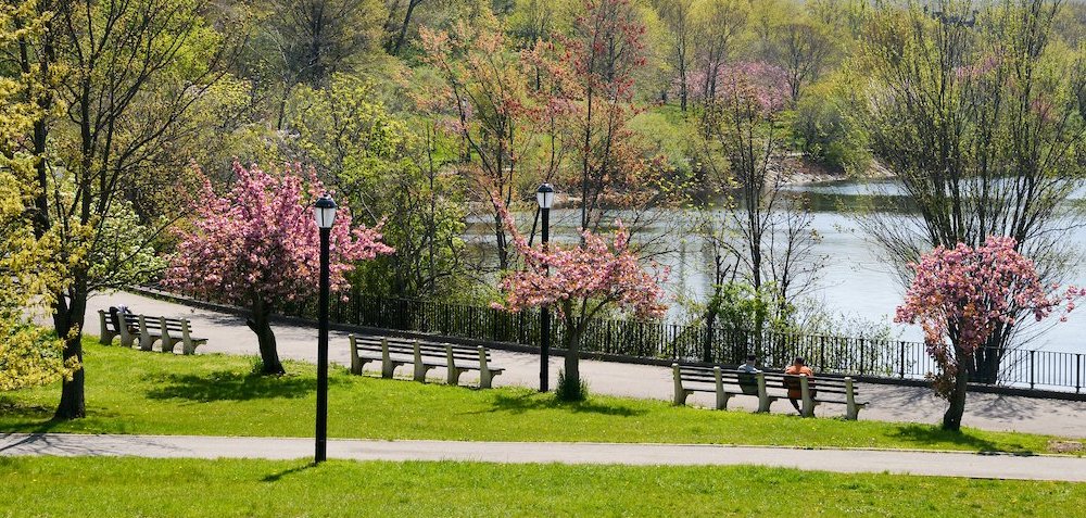 a path leads past a lake in the park