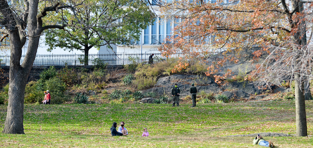 A lawn space in the park