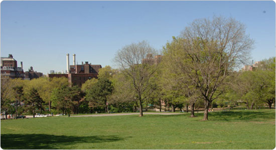 Image of Fort Greene Park