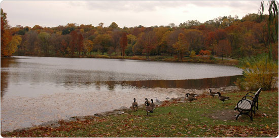 Parts of Van Cortlandt Park still feel as untouched as before they became public space in 1888.