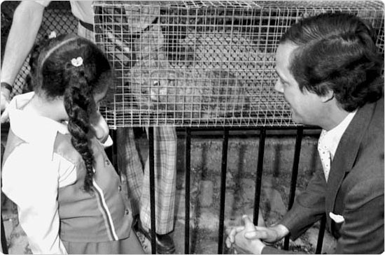 A child gazes at a caged groundhog at the Central Park Zoo while Parks commissioner Gordon J. Davis observes, February 5, 1978. Courtesy of Parks Photo Archive; neg. 41907.