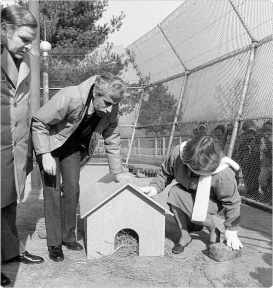 Parks Commissioner Henry Stern and Queens Zoo Director Faye Witherell await the emergence of a weather-predicting rodent, February 1984. Courtesy of Parks Photo Archive.