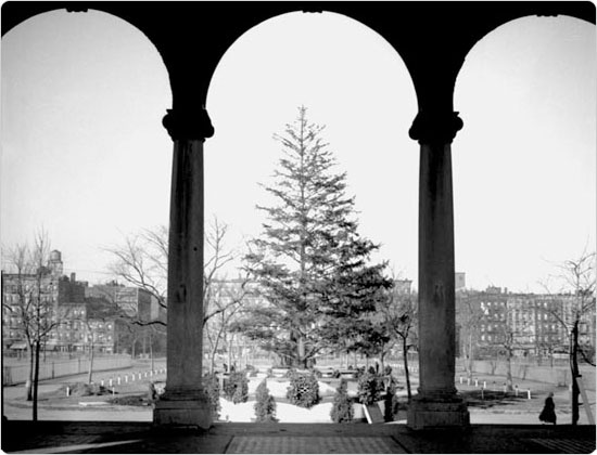 The Thomas Jefferson Park Christmas tree viewed through pavilion arches, December 1934. Courtesy of Parks Photo Archive; Neg. 4677.