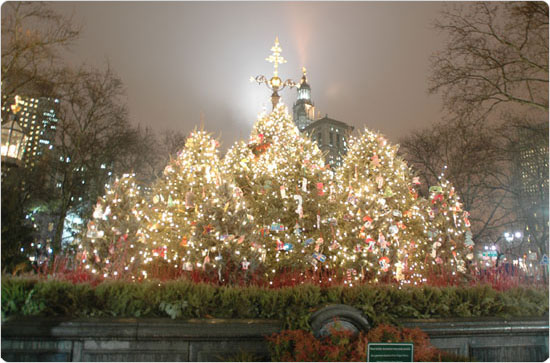 Fountain in City Hall Park, December 6, 2004. Photo by Malcolm Pinckney.