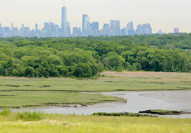 Freshkills Park on Staten Island was a landfill, now it is becoming one of the                      biggest parks in New York City and a haven for ecological diversity. 