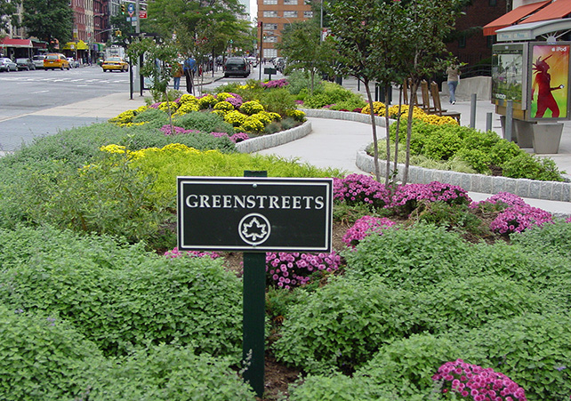 Greenstreets are grown along sidewalks and in street medians to help capture stormwater.