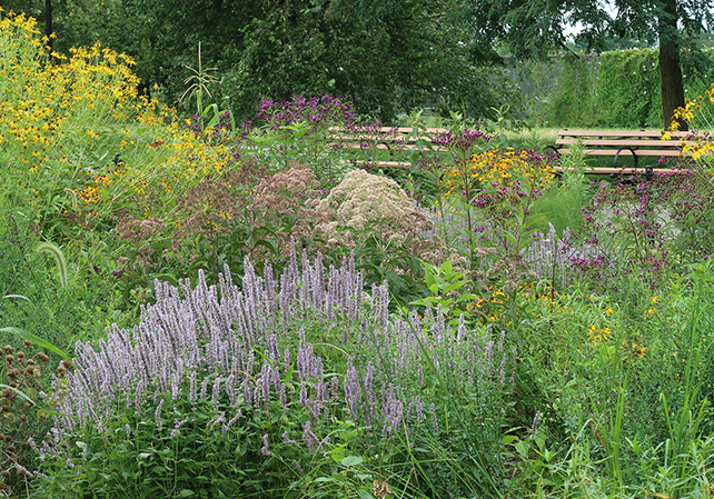 The Pollinator Place                  Garden at Calvert Vaux Park in Brooklyn welcomes summer-loving pollinators with colorful native                  flowering plants.