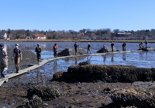 Living shoreline at                  the                  salt marsh at the northern end of Alley Pond Park in Queens.