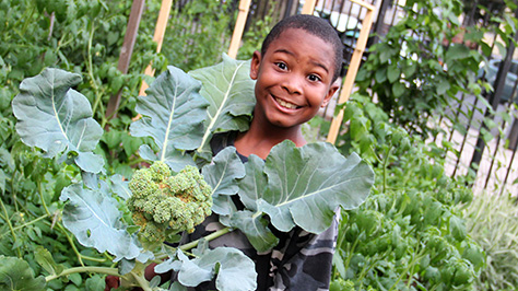 a kid holds up a big leafy green in the garden