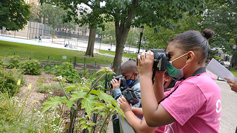 kids use cameras to take photos of nature in the park