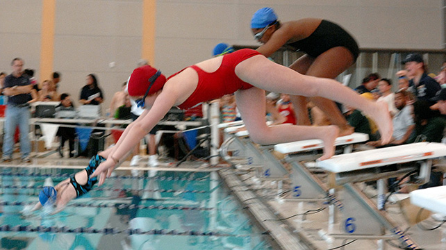 swim team members jump in the pool for a race