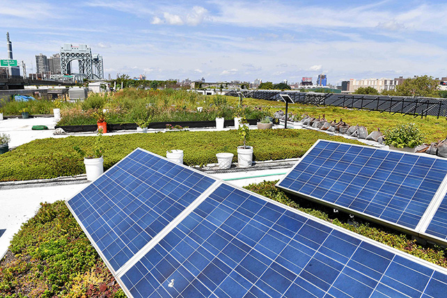 Solar photovoltaic (PV) panels at the Citywide Services Complex Green Roof on Randall’s Island.