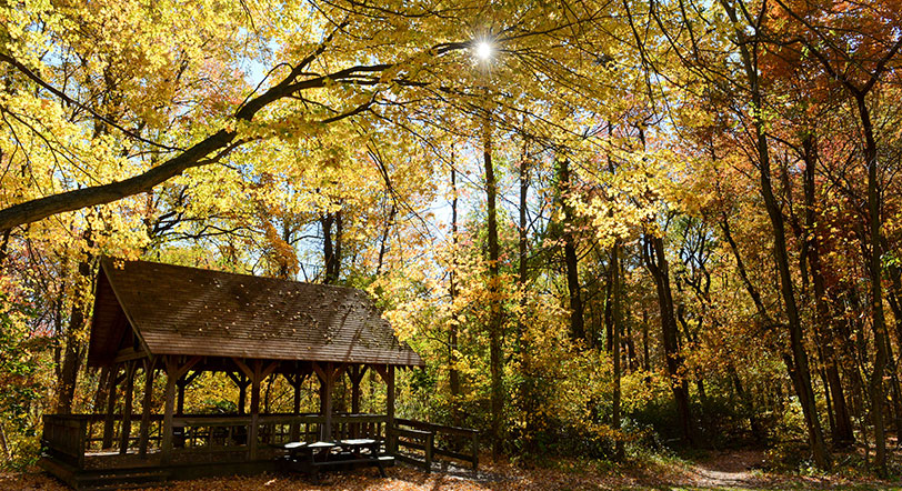 fall foliage at Blue Heron Park, Staten Island