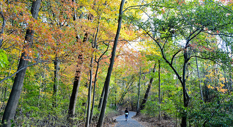 fall foliage at Cunningham Park, Queens