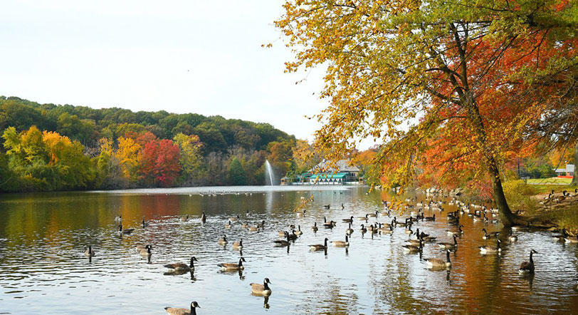 fall foliage at Clove Lakes Park, Staten Island