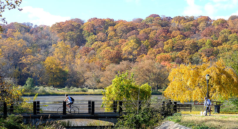 fall foliage at Inwood Hill Park, Manhattan